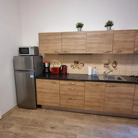 Krakovska 20 Apartament Praga